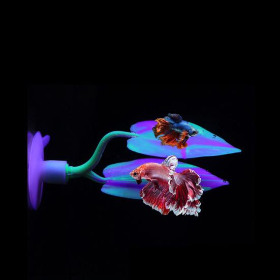 Fish Tank Leaf with Suction Cup Eco-friendly Vibrant Color Simple Installation Small Fish