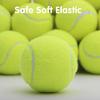 SOCO 16 Pack Small Tennis Balls for Pet Playing Fecth, 2 Inch Dog Training Tennis Balls for Mini Size Dogs, Interactive Dog Playing Balls Fits All 2