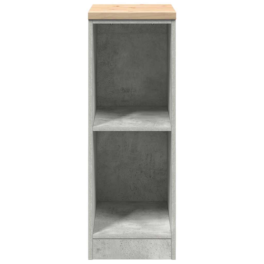 Graue Beton-Aufbewahrungsschrank für die Garage 30x51x85 cm
