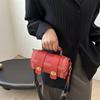 2025 New Trend Beautiful Foreign Style Small Bag Women's Bag Texture Personalized Messenger Bag Popular Fashion Small Square Bag