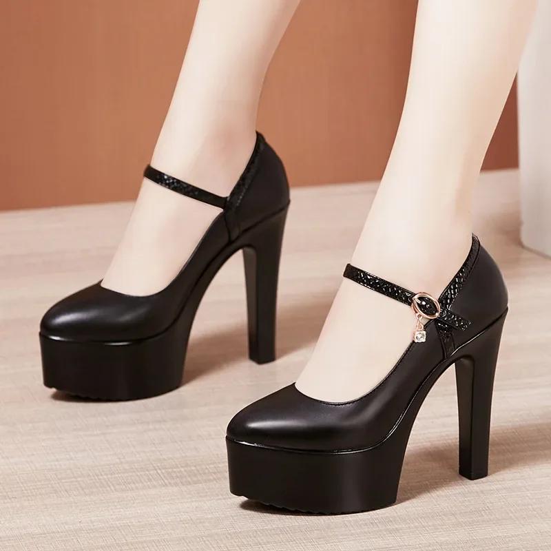 8 10 13cm Small Size 32-43 Elegant Thick Bottom Platform Pumps Women 2025 Fall Block High Heels Shoes Dress Model Office Party