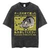 The Horrors Are Never Ending Yet I Remain Silly T-shirt Funny Japanese Style Frog Retro Washed T Shirt Men's Oversized Tees Tops