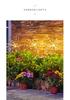 Remote-Control Solar Firework LED String Lights - Waterproof, Decorative Copper Wire Lights for Outdoor Use