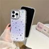 Double-Sided Gradient Star Diamond Phone Case for iPhone 16/17 Pro Max