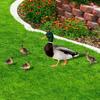Wildlife Garden Yard Sign Pvc Outdoor Decoration With Rooster And Duck For Lawn And Garden