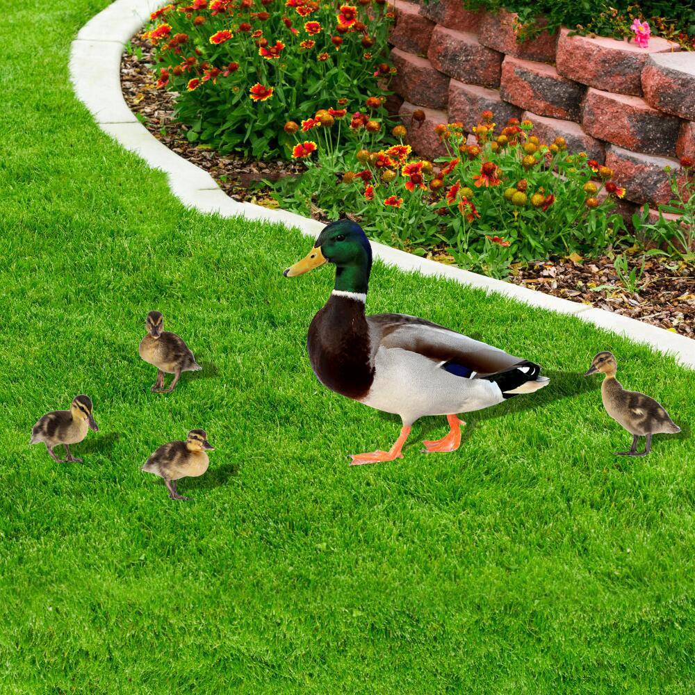 Wildlife Garden Yard Sign Pvc Outdoor Decoration With Rooster And Duck For Lawn And Garden