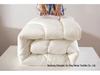 Brushed Comforter: Thickened Silk Cotton Quilt for All Seasons