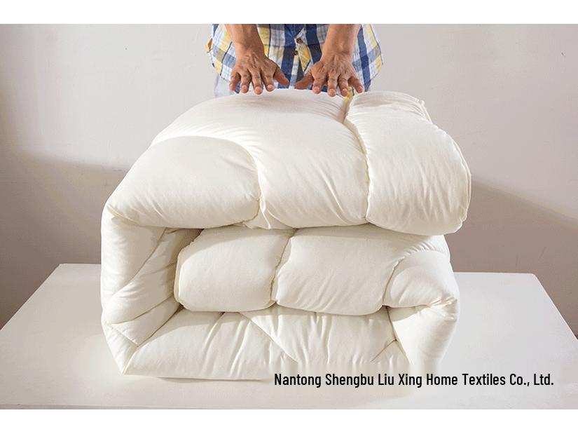 Brushed Comforter: Thickened Silk Cotton Quilt for All Seasons