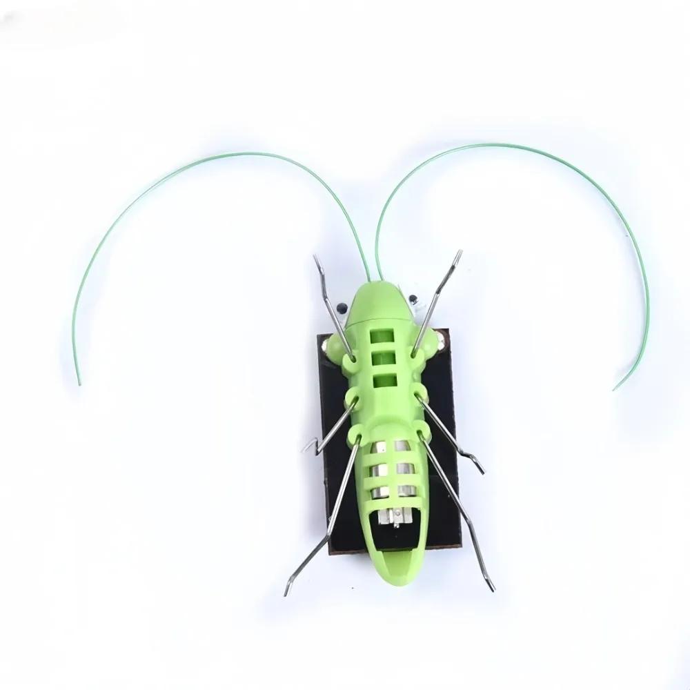 Solar Powered Grasshopper A Small Technological Creation A Fun Prankeducational Gift for Children's Intelligence Enlightenment