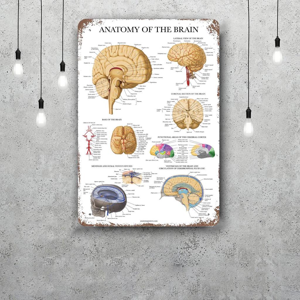 Brain Funny Bar Metal Sign Retro Plaque Vintage Sign Alcohol Drinker Pub Club Man Cave Kitchen Wall Decoration
