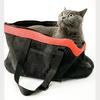 Dog Backpack Puppy Portable Bag Teddy Cat Handbag One Shoulder Foldable Breathable Comfortable Kitten Travel Bag Pet Supplie
