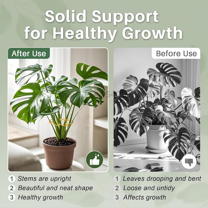 Plant Support Adjustable Metal Plant Support Climbing Stem Holder Monstera Stabilizergardening Tools and Planting Supplies