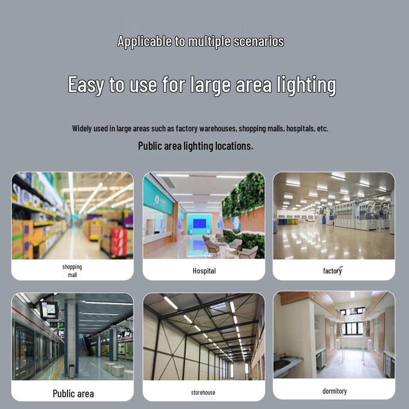 FSL LED T8 Double-Ended Tube Light