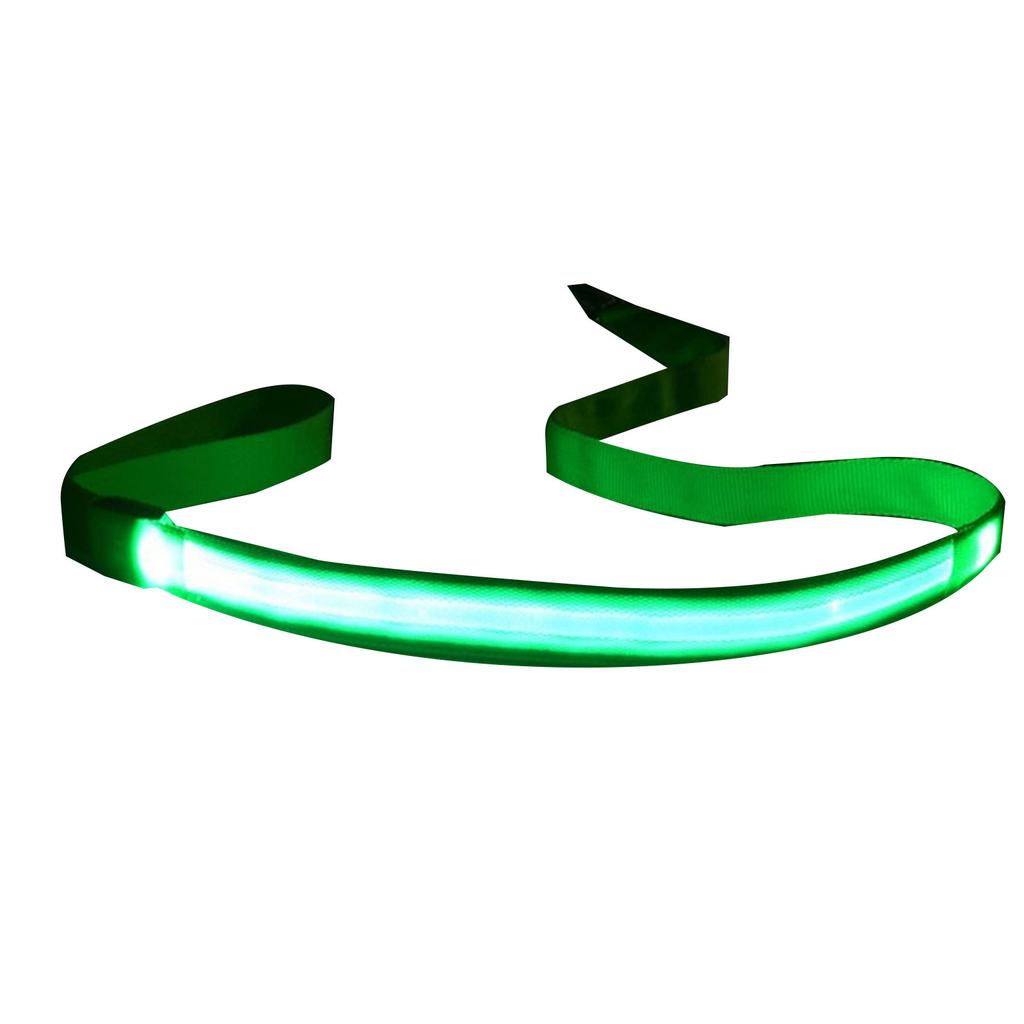 Laisse Lumineuse pour Animaux de Compagnie pour Chiens de Toutes Tailles Laisse d'Entraînement pour Chiots d'Extérieur Robuste LED Laisse pour Animaux de Compagnie pour Races Moyennes et Grandes