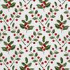 Outdoor Dekostoffe Oxford - Motiv Stechpalme Beeren