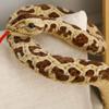 Itisyou Snake Plush Large Stuffed Plush Large Snake Cute 200cm Toy, Animal, Toy, Cushion, Animal, Fluffy, Soft,