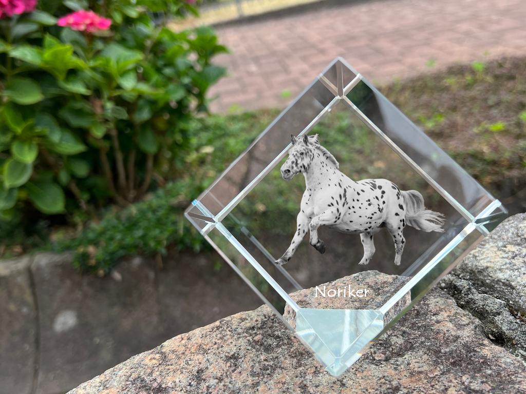 Noriker – Crystal cube with a horse picture, horse picture in crystal | Art-Dog