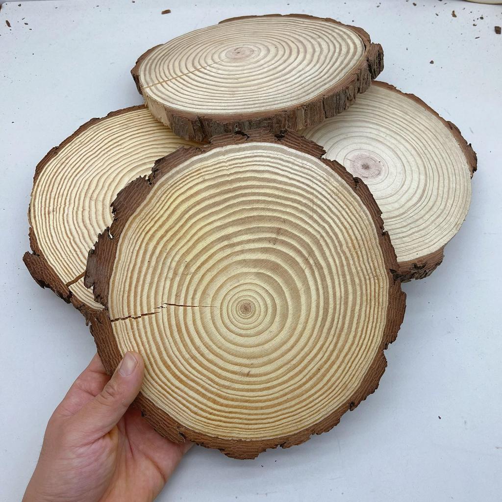 DIY Hand-Painted Wooden Slices for Crafts and Kindergarten Decor – Small Natural Wood Pieces with Growth Rings
