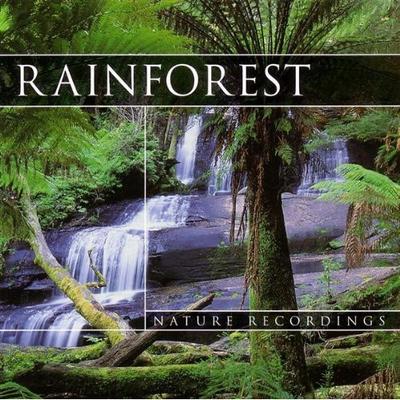 CD NO ARTIST  Rainforest GJ3630 Global Journey 2000 UK Visual Others Used