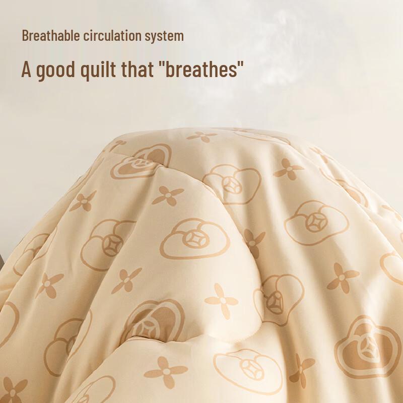 Hengyuanxiang All-Season Brushed Warm Quilt