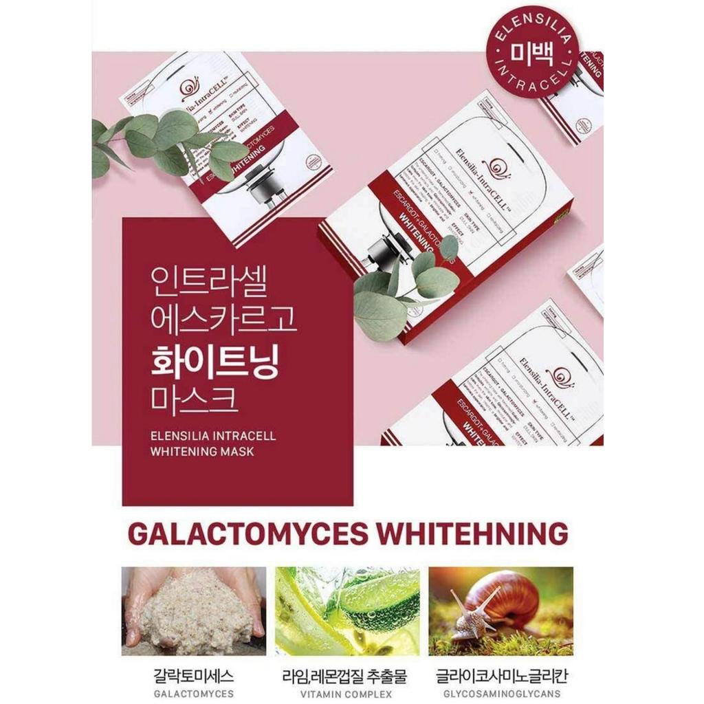 [Elensilia Intracell] Escargot Mask 1SET (5Boxes 50sheets)