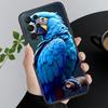 Phone Case For Samsung A55 A16 A56 A36 A35 A15 A53 A54 A33 A34 A25 A05S A52 A52S A14 A26 A71 Bird Parrot