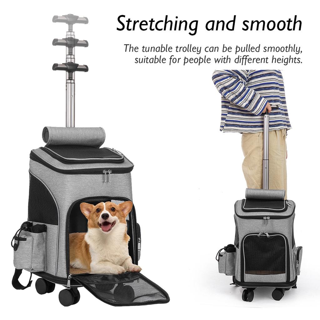 Wheeled Pet Carrier Backpack Travel Carrier for Puppy Dogs Cats Removable Rolling Wheels Mesh Ventilation Window Storage Pockets