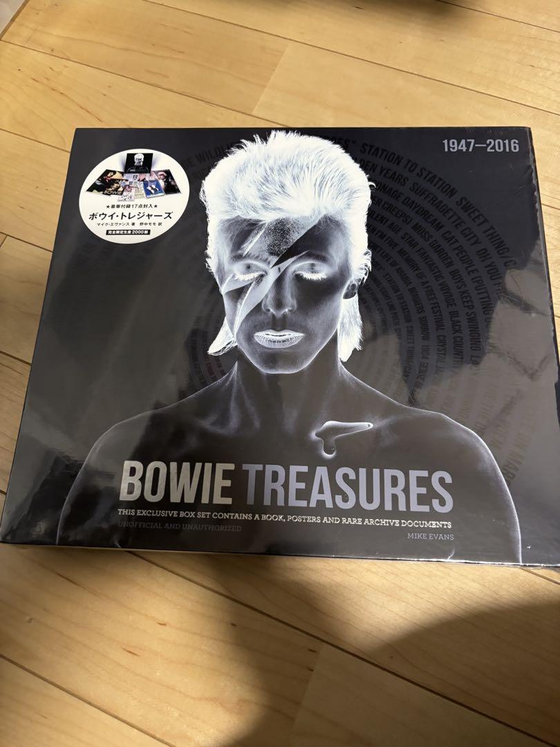 

[USED] BOWIE TREASURES