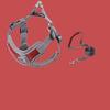 Pet Harness Breathable Reflective Strip Dog Harness with 1.5m Leash for Small and Medium Dogs Red S
