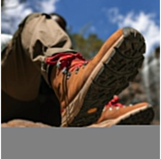 Danner Mountain 600 ID GTX Leaf Hiking Boots