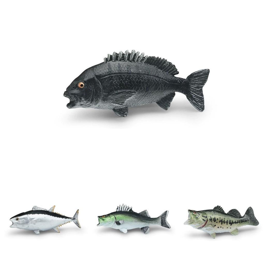 Realistisches Ozeanfisch-Modellset aus Kunststoff für Aquarienliebhaber und Bildungsdisplays