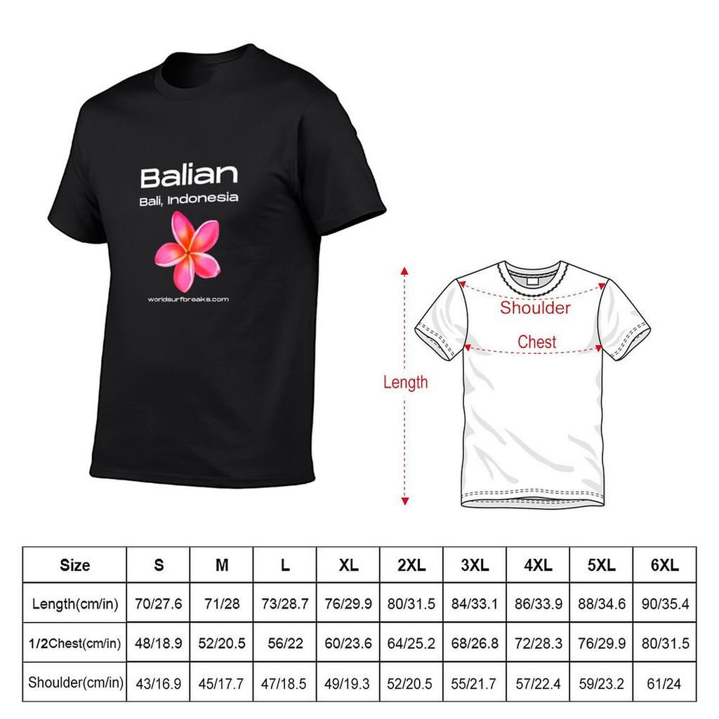 Balian Bali Indonesia Surf Break Tshirt Animal Prinfor Boys Oversizeds Black T Shirts for Men