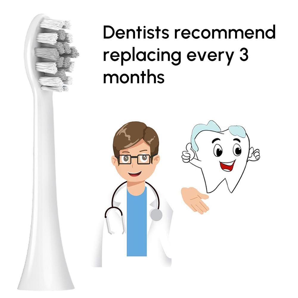 Replacement Toothbrush Brush Heads Compatible with Philips Sonicare Professional Electric Toothbrush Pro1100 2100 4100 5100 6100