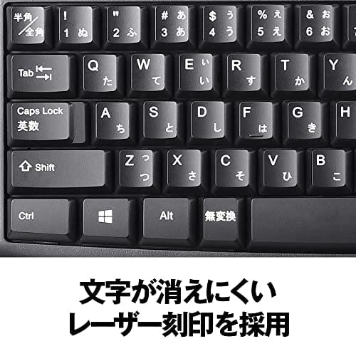 BUFFALO USB Connection Wired Standard Keyboard Black BSKBU105BK [Compatible with Windows/PS4/Nintendo Switch]