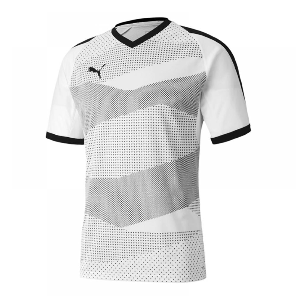 

Джерси Team Final Indoor PUMA 70449104 Мужская круглая футболка с коротким рукавом 085/70449104
