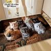Five Cats Pattern Rectangle Doormat 2D Flat Print Non-Slip Machine Washable Floor Mat for Entryway Kitchen Home Room Decor