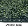 Simulated Sunscreen Milan Plant Green Plant Wall, Outdoor Decorative Background Wall Plastic Door False Lawn
