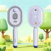 Air Cushion Electric Spray Massage Comb 3 In 1 Scalp Care Tool for Taming Frizzy Dry Hair Home Salon Use