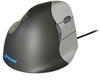 Periféricos para computadores – Ratos