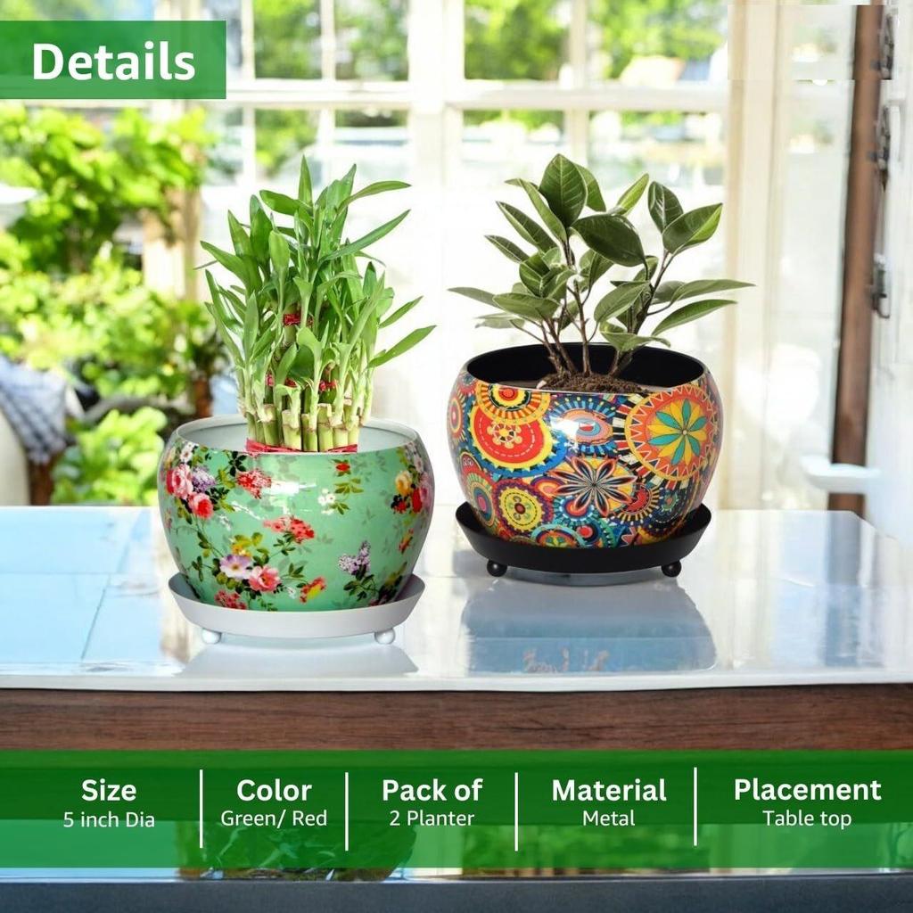 5 Inches, Lily Metal Plant Pot with Saucer Plate | Indoor Outdoor Home Decor Item for Garden Plants Flower, Balcony, Patio, Living Room, Garden