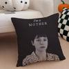 AAlison Hendrix Cushion Cover Throw Pillow Cover Hidden Button Durable Polyester Chair Cushion
