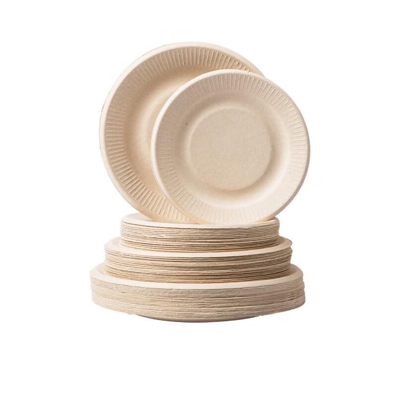 CHAHUA Disposable Paper Plates
