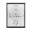 Kręgosłup W Szczegółach: Anatomia C6, C7, Th5 I L4 - Plakat Anatomiczny Kręgosłup W Szczegółach: Anatomia C6, C7, Th5 I L4 - Plakat Anatomiczny, 50X70