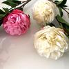 Artificial Peony Flowers 35.8" Faux Peony Stems Realistic Fake Silk Peony Branches with 3 Bloom Heads And 2 Buds for Vase DIY Bouquet Weeding