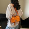 Literary and artistic workwear trendy cool small leather film casual neutral small square bag 25 spring new travel women's one-shoulder crossbody bag