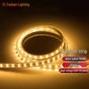 FSL 220V Outdoor Waterproof LED Strip Light & Power Plug