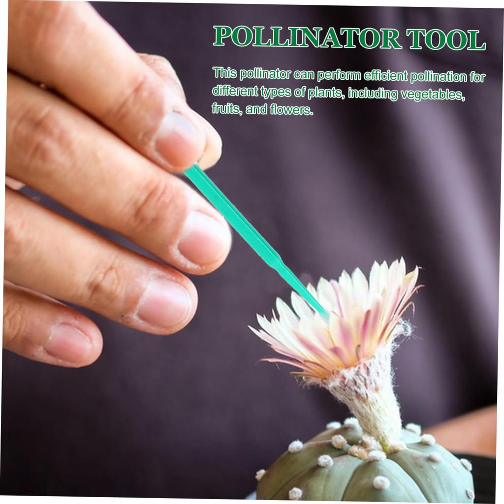 SUPVOX 100pcs Plant Pollinator Pens Artificial Pollinators Pollinator Chalk Paint Brushes Pollinator Dusters Pollinator Hand Tools Plant Plastic