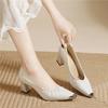 Light Luxury Black High Heels Fashion High-end Early Spring Single Shoes Thick Heel One Pedal Comfortable Versatile Light Mouth Women's Shoes