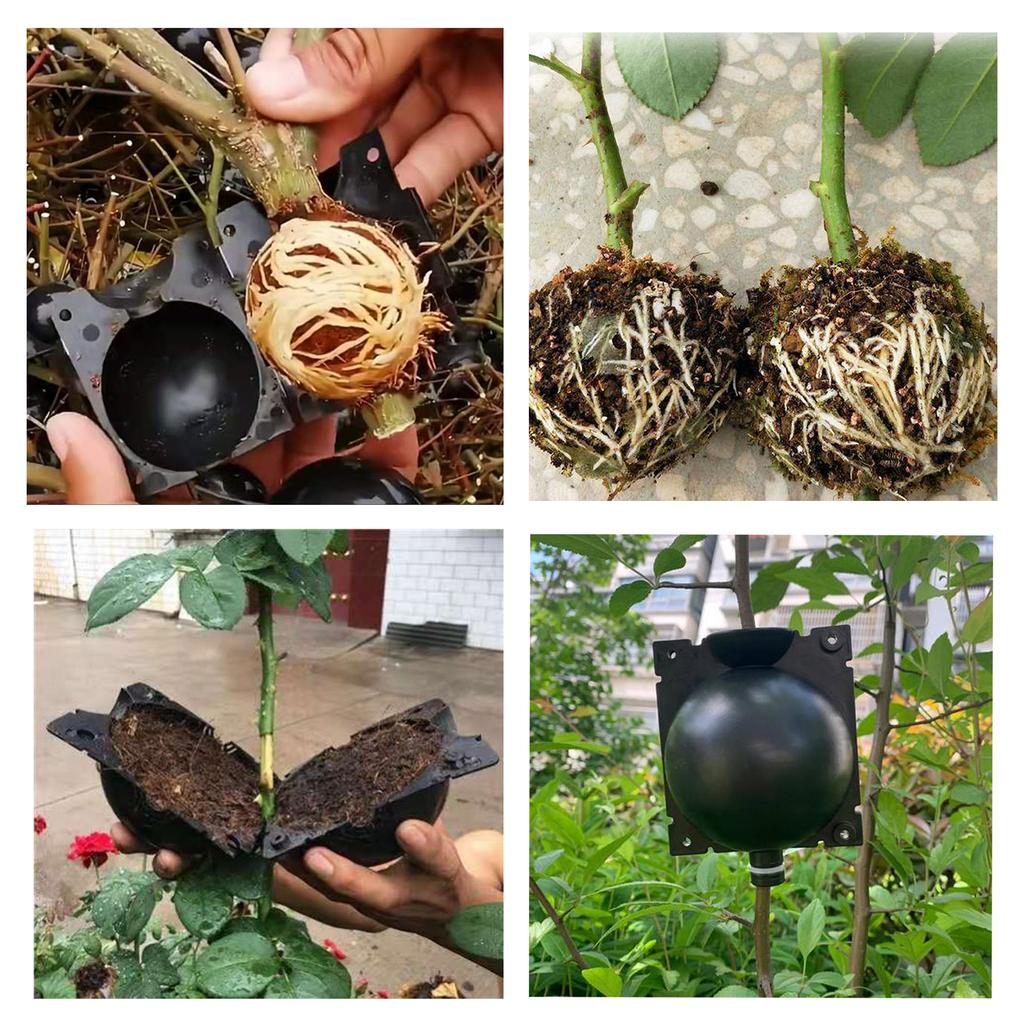 Plant Rooting Device, High-pressure Propagation Ball Grafting Box, Plant Root Ball Grafting, Transplanting Plant Rooting Device