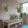 Artificial Staghorn Fern Hanging Plants Fake Boston Fern Hanging Plant Faux Fern Plant for Indoor Outdoor Home Wall Room Gar